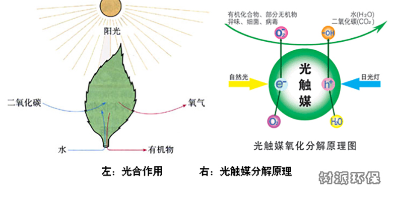 树派光触媒除甲醛效果如何